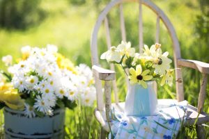 Plant-colourful-blooming-flowers