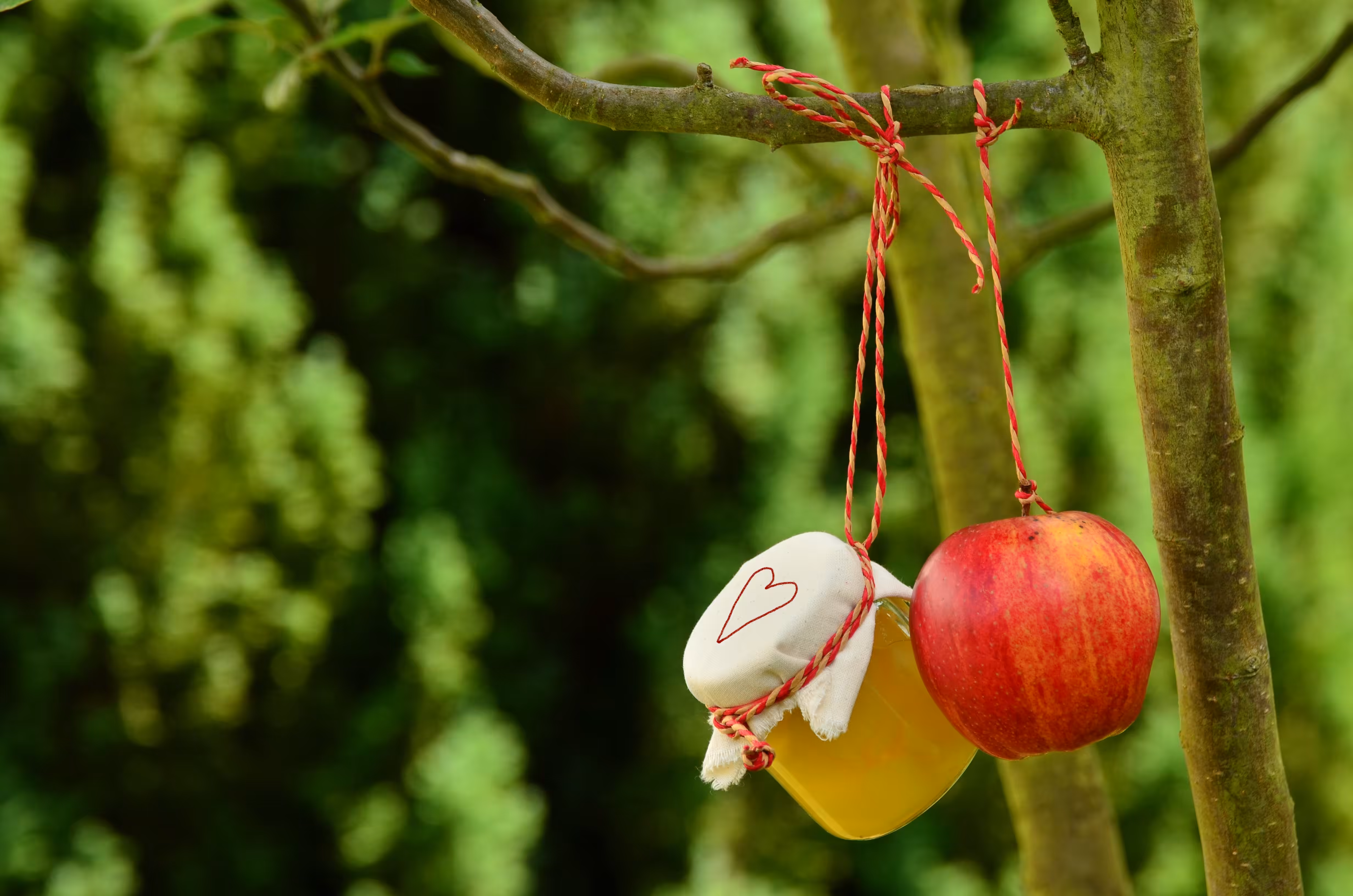 Foods You Should Never Refrigerate