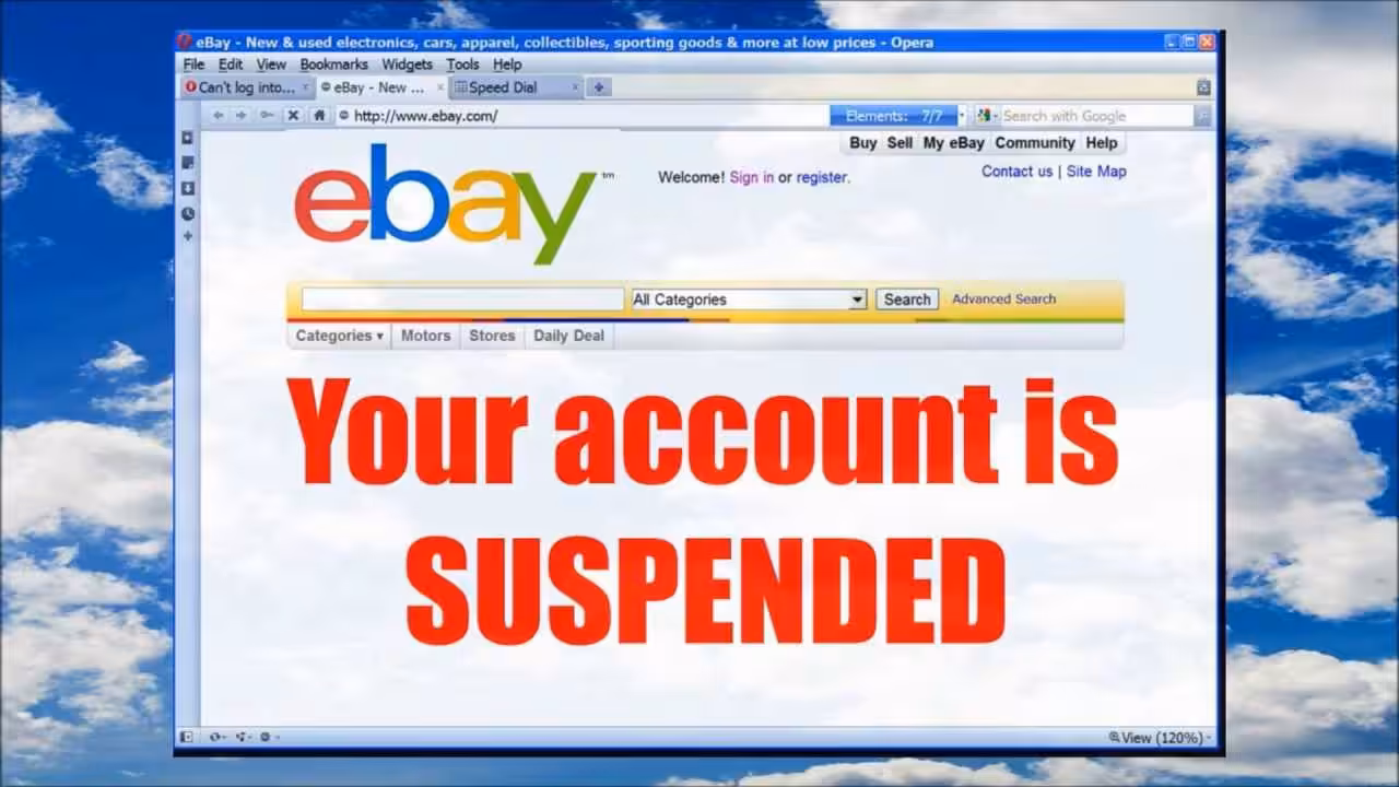 ebay suspension