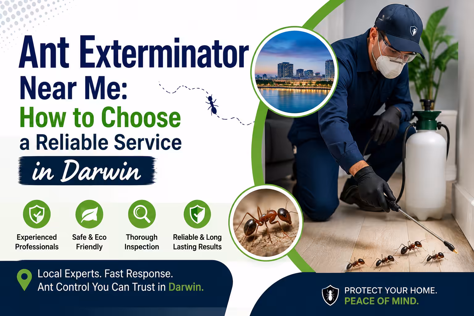 Ant Exterminator Near Me: How to Choose a Reliable Service in Darwin